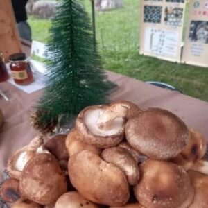 香茹